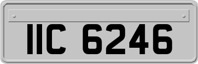 IIC6246
