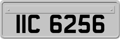 IIC6256