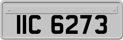 IIC6273