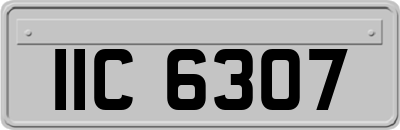 IIC6307