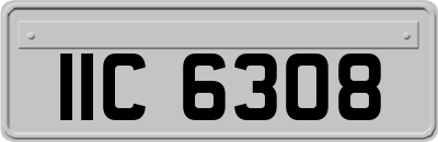 IIC6308