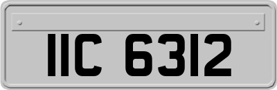 IIC6312