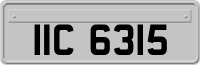 IIC6315