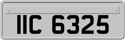 IIC6325