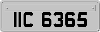 IIC6365