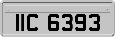 IIC6393