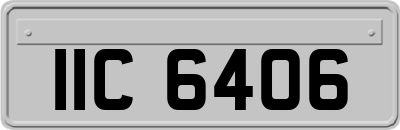 IIC6406