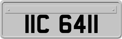 IIC6411