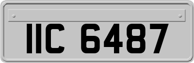 IIC6487