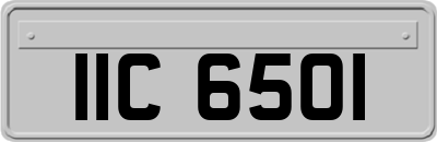 IIC6501