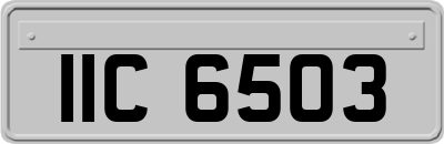 IIC6503