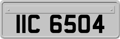 IIC6504