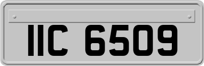 IIC6509