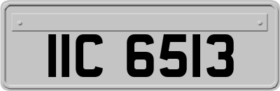 IIC6513