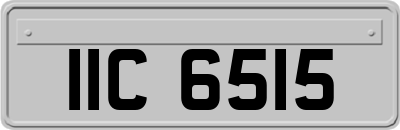 IIC6515