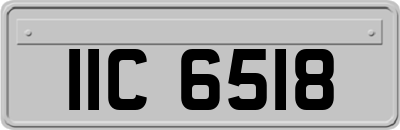 IIC6518