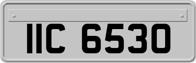 IIC6530