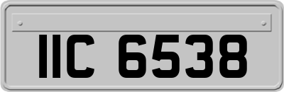 IIC6538