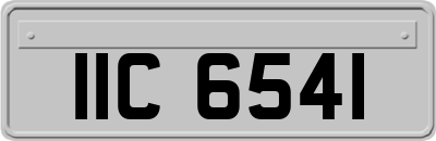 IIC6541