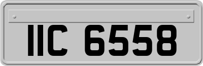IIC6558