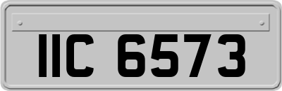 IIC6573