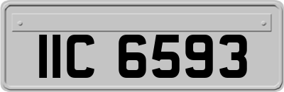 IIC6593