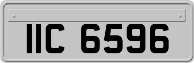 IIC6596