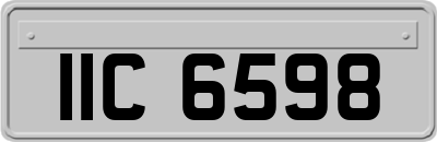IIC6598