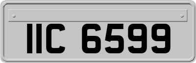 IIC6599