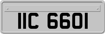 IIC6601