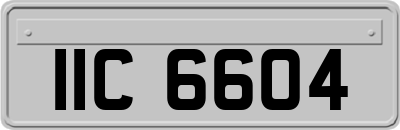 IIC6604