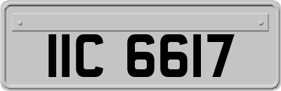 IIC6617