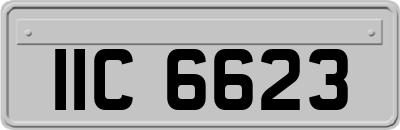 IIC6623
