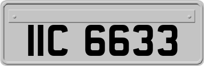 IIC6633
