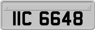 IIC6648