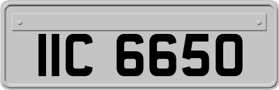 IIC6650