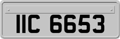 IIC6653