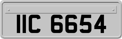 IIC6654