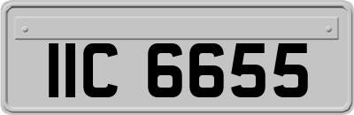 IIC6655