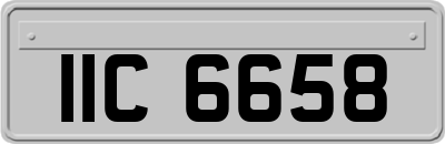 IIC6658