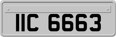IIC6663