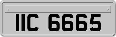 IIC6665
