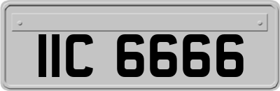 IIC6666