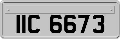 IIC6673