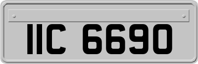 IIC6690