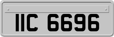 IIC6696