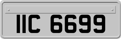 IIC6699