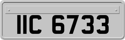IIC6733