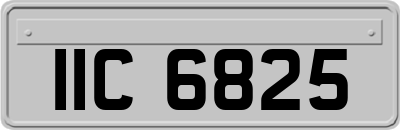 IIC6825