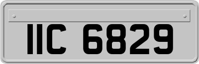 IIC6829